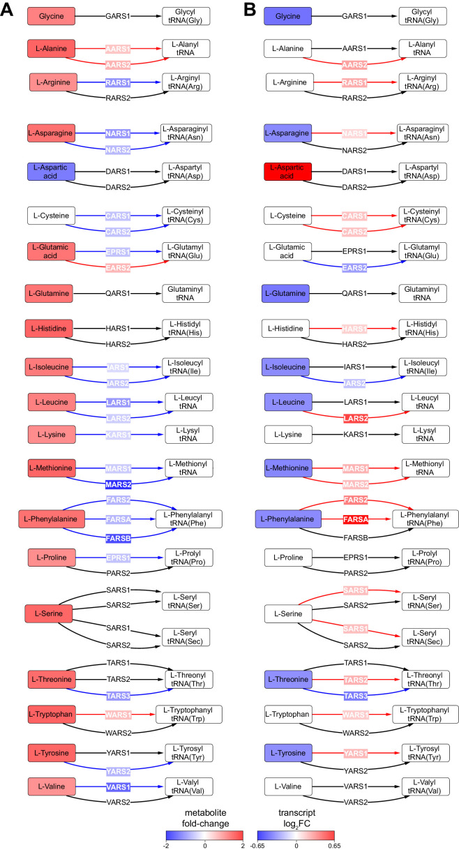 Figure 3—figure supplement 3.