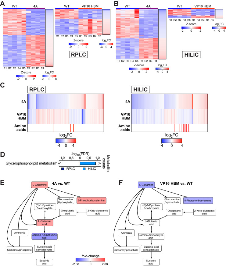 Figure 2—figure supplement 1.