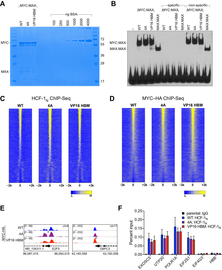 Figure 6—figure supplement 1.