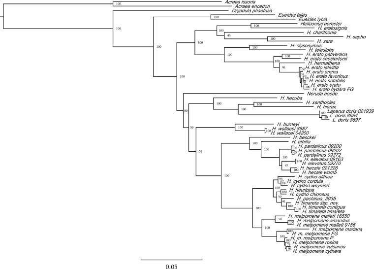 Figure 2.