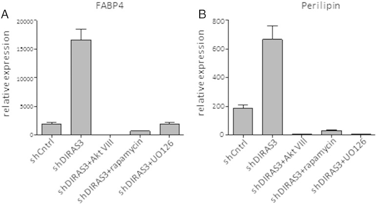 Supplementary Fig. 5.