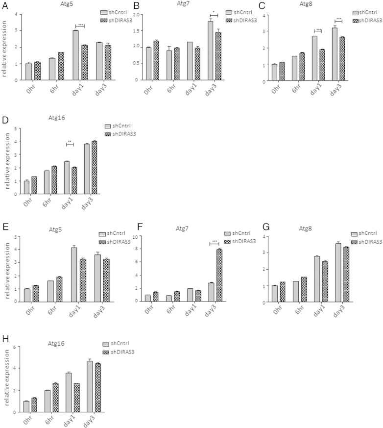 Supplementary Fig. 6.