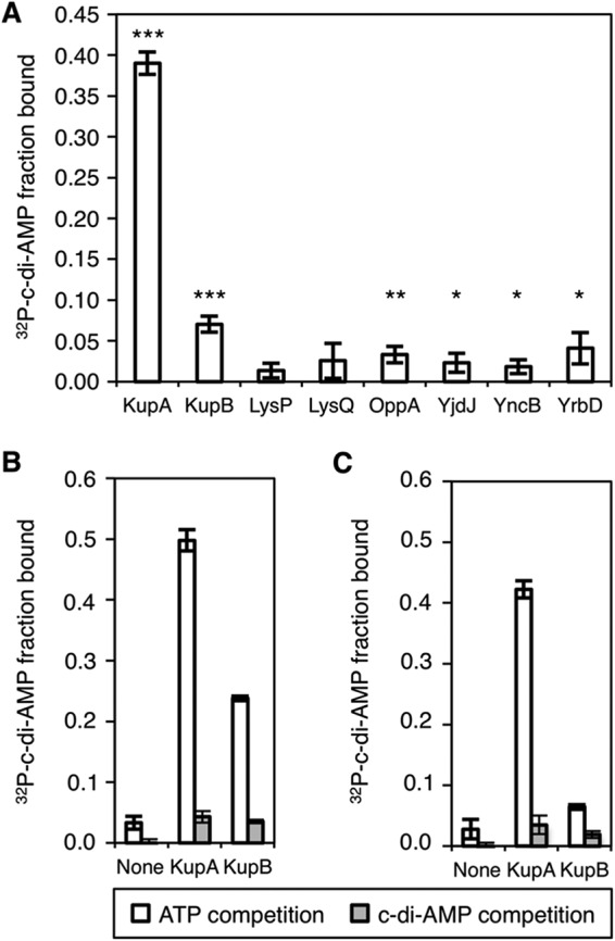 FIG 1