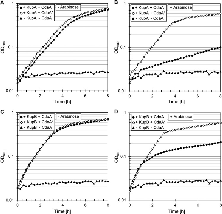 FIG 4