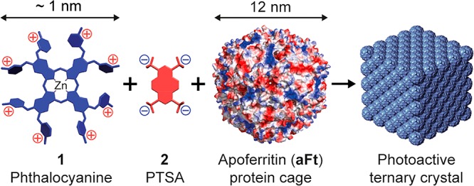 Figure 17