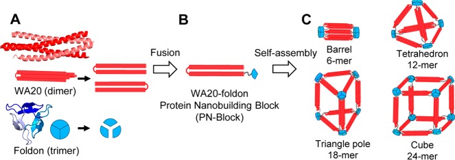 Figure 23