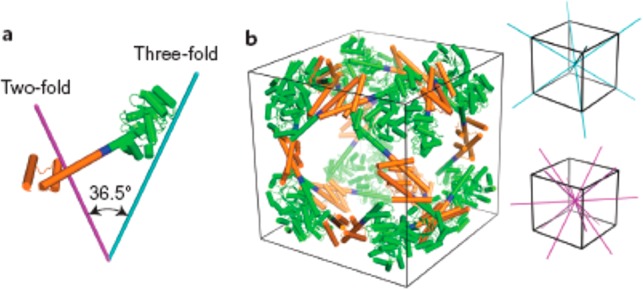 Figure 21