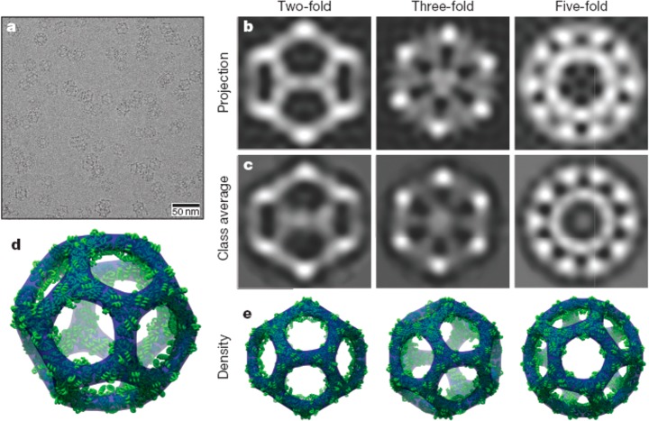 Figure 20