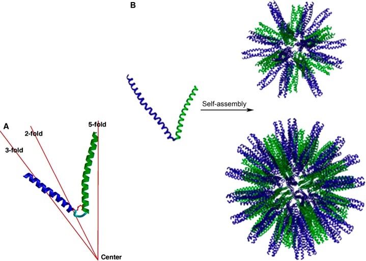 Figure 22