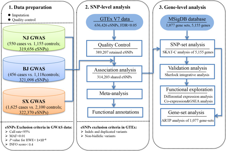 FIGURE 1