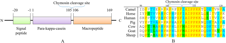 Figure 1