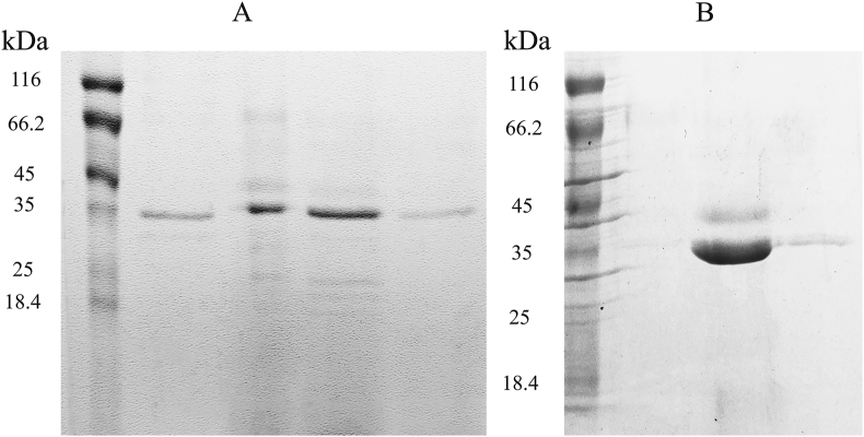 Figure 4