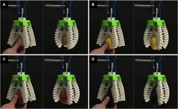 FIGURE 12