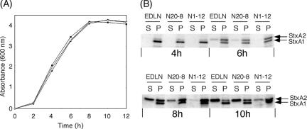 FIG. 6.