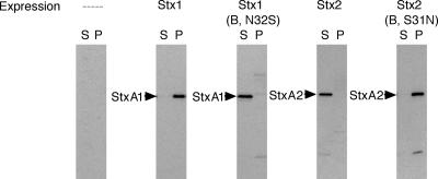 FIG. 7.