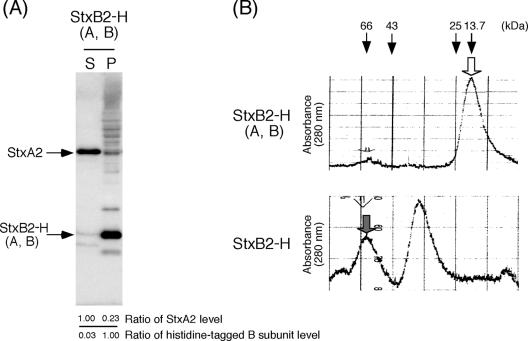 FIG. 5.