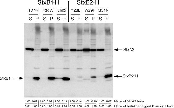 FIG. 3.