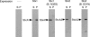 FIG. 7.