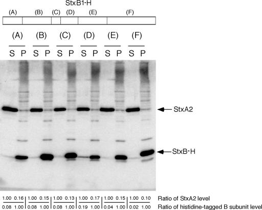 FIG. 2.