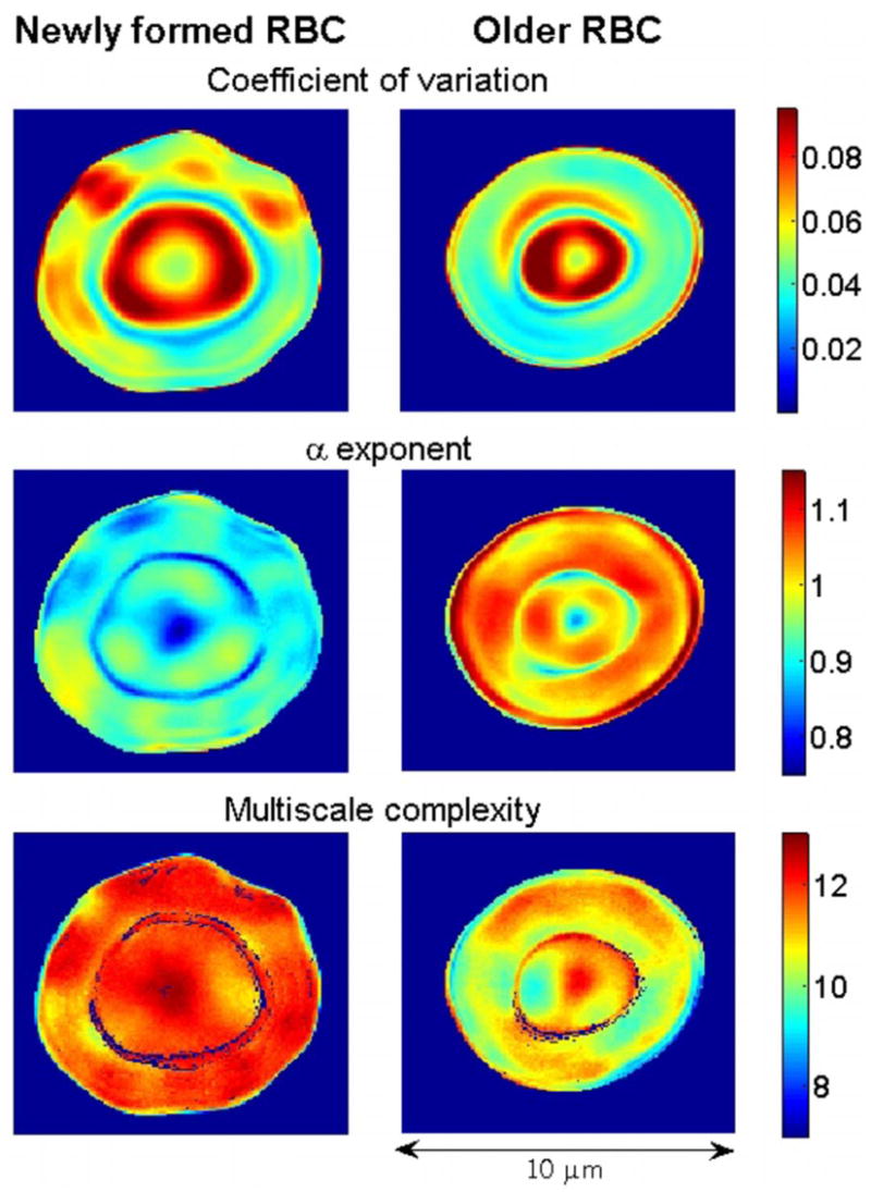 FIG. 3