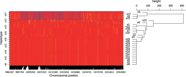 Fig. 7.