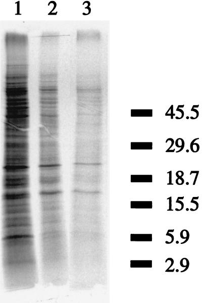 FIG. 6