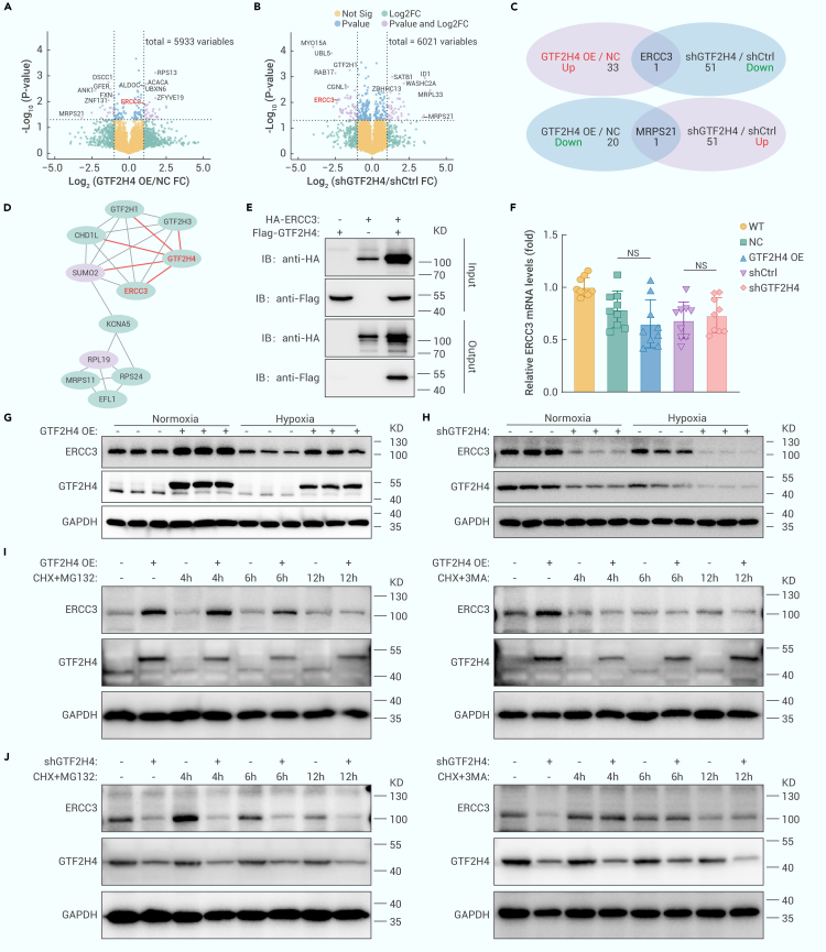 Figure 4