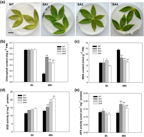 Figure 5