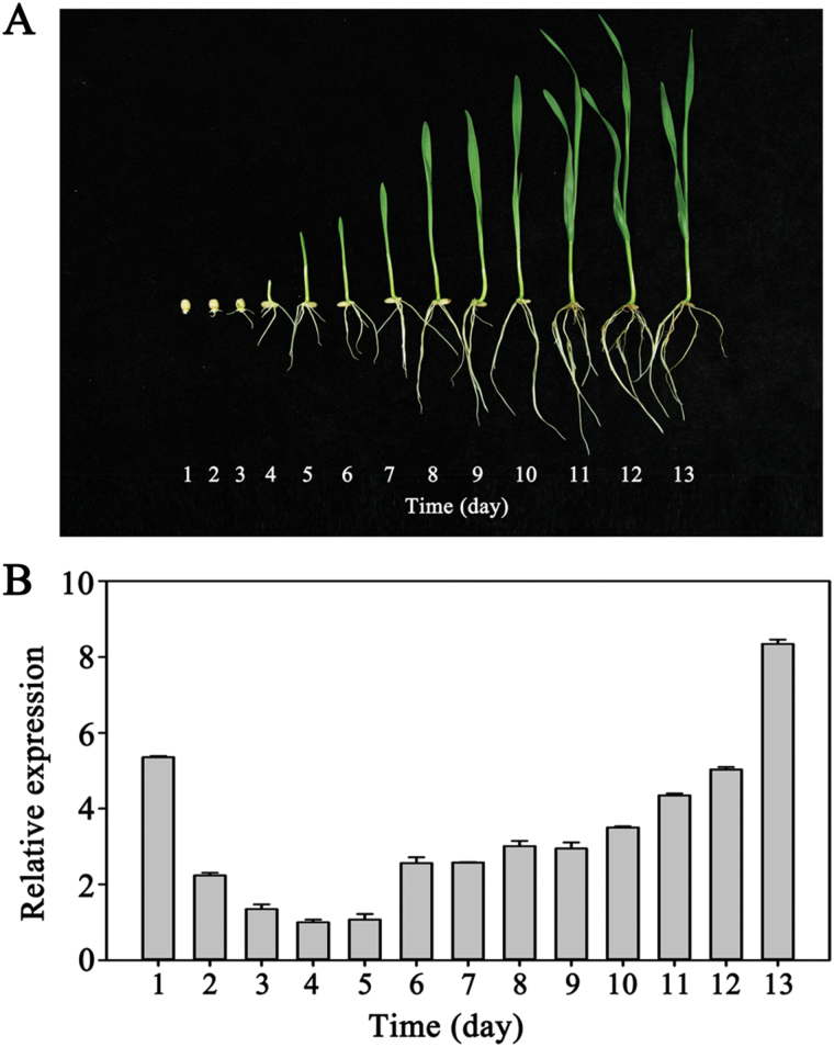 Fig. 7.