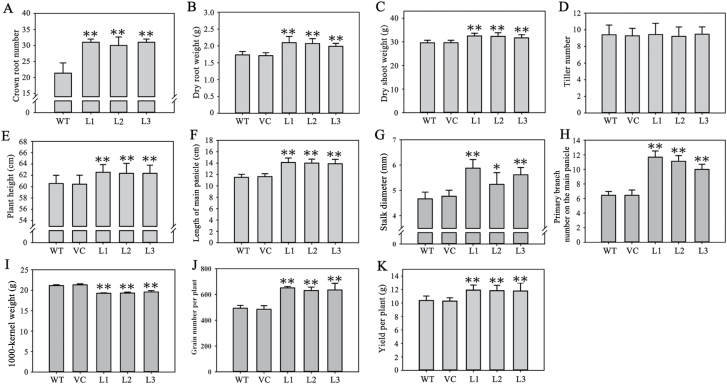 Fig. 13.