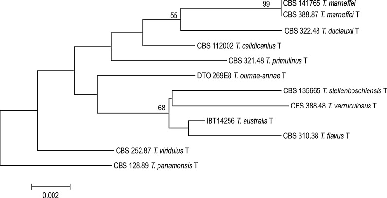 Fig. 2