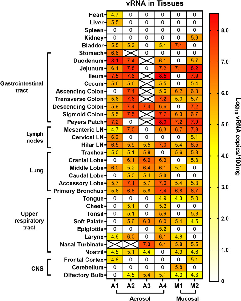 Fig 6