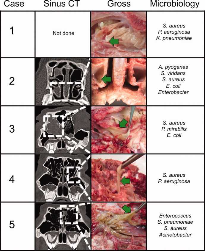 Fig. 6