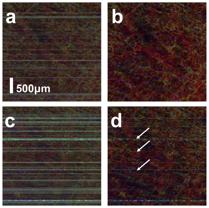 Fig. 10