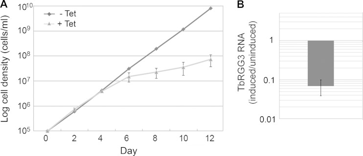 FIG 4