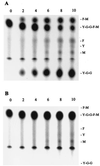 FIG. 5