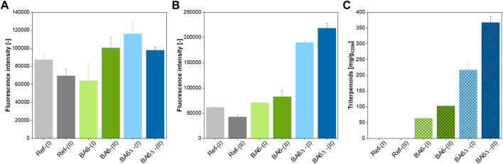 FIGURE 3