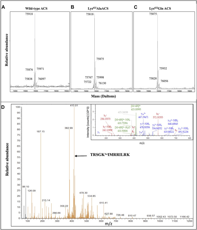 FIGURE 4