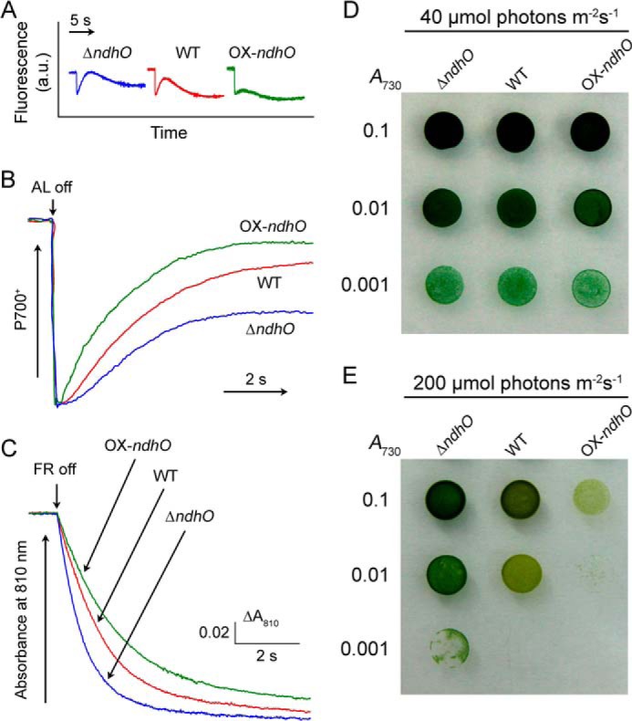 FIGURE 3.