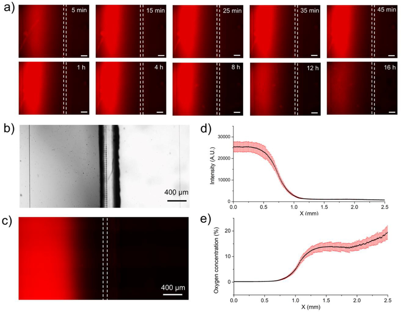 Fig. 4: