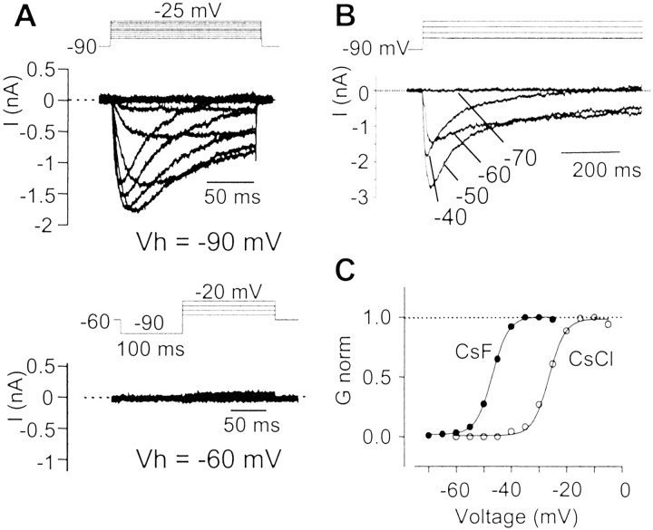 Fig. 8.