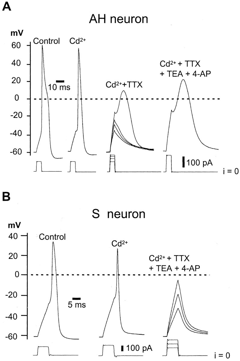 Fig. 1.