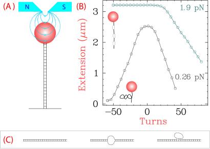 Fig 2.