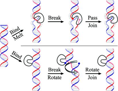 Fig 1.