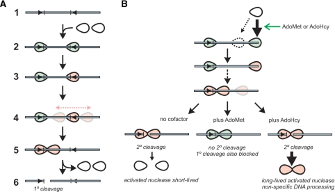 Figure 11.