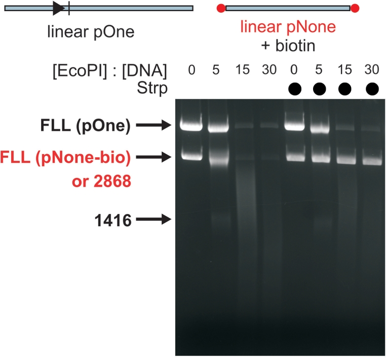 Figure 10.