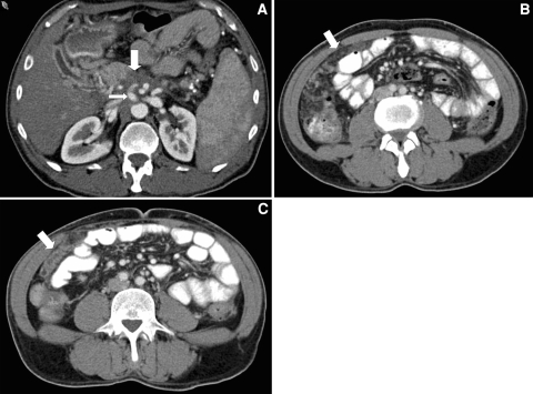 Fig. 6