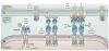 Fig. 2