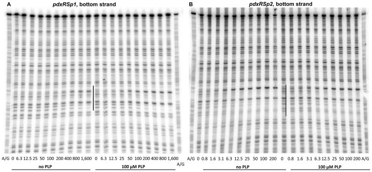 Fig. 7