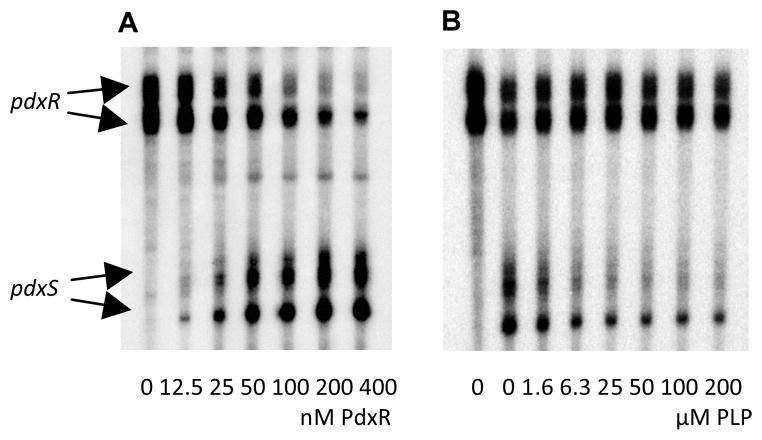 Fig. 5